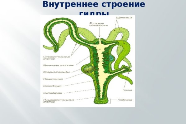 Кракен супернет зеркало