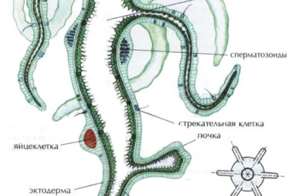 Кракен сайт нарк