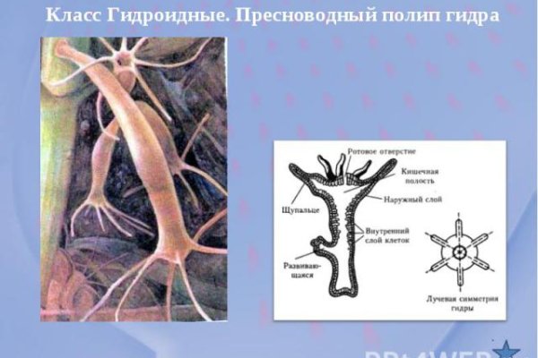 Супернет ссылка