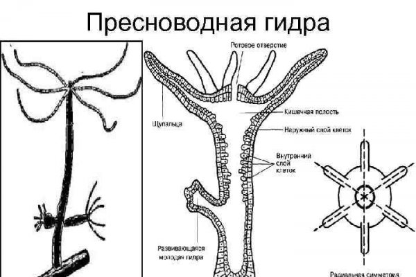 Kraken whitenet официальный сайт