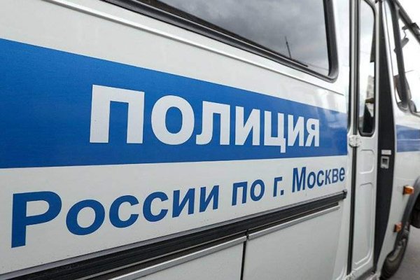 Прямая ссылка на кракен