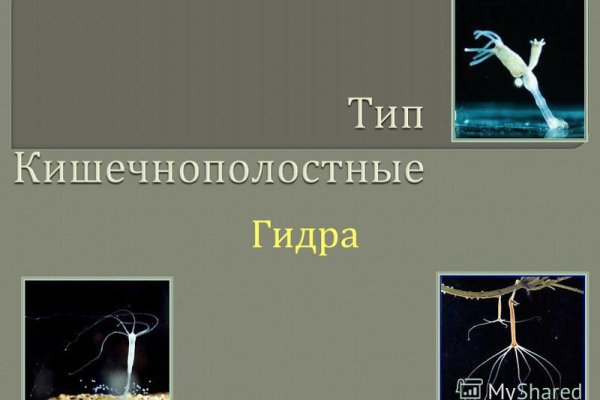 Каталог сайтов супернет