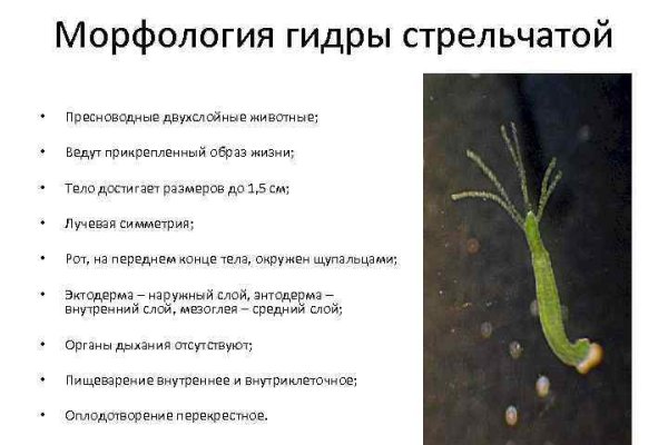 Кракен площадка vk2 top