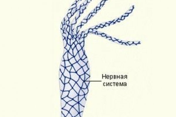 Kraken рабочее зеркало onion