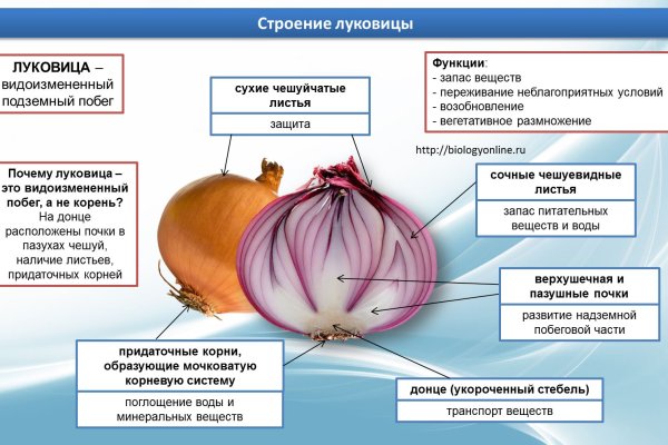 Сайт кракен россия